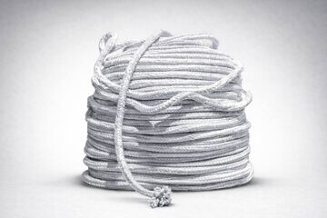 photo_1_2026-04-01_14-12-27